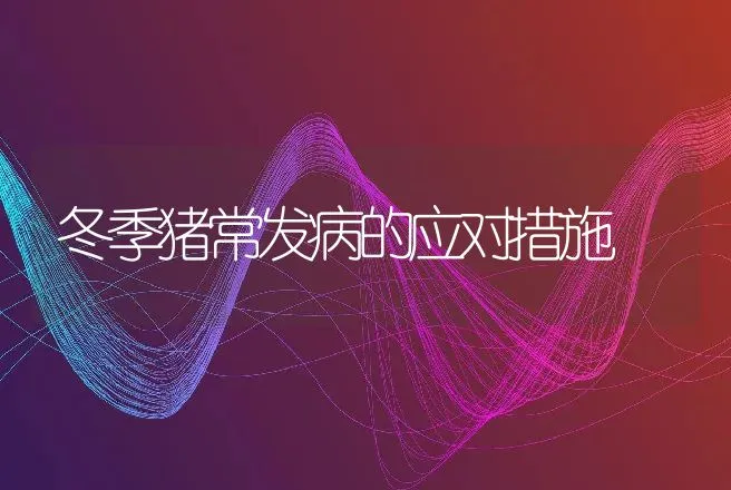 冬季猪常发病的应对措施 | 动物养殖