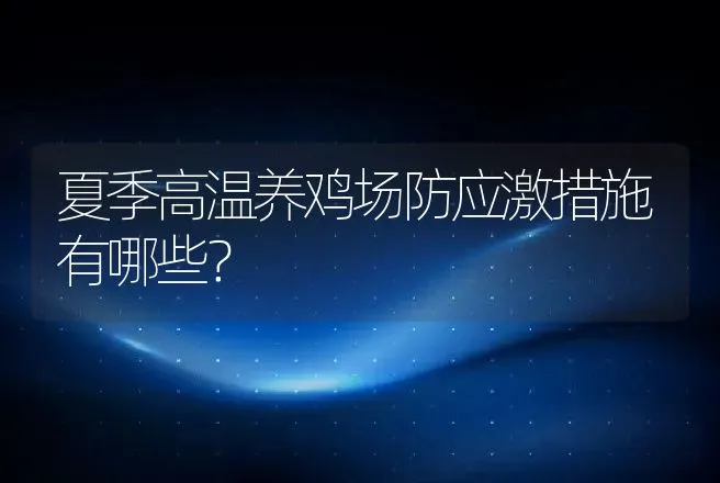 夏季高温养鸡场防应激措施有哪些？ | 特种养殖