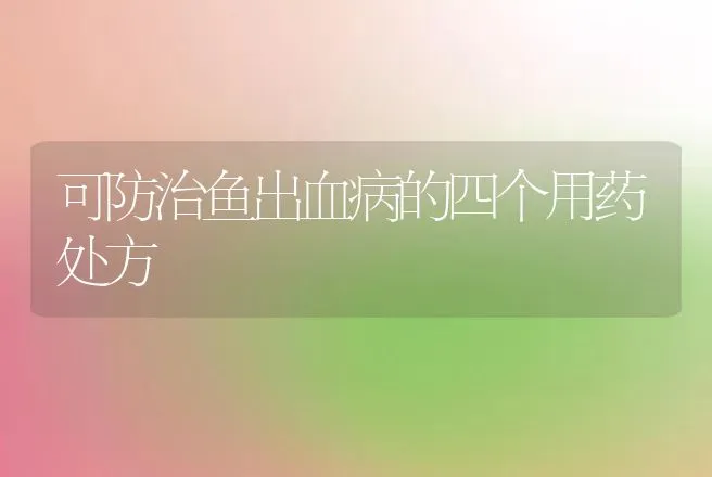 可防治鱼出血病的四个用药处方 | 水产知识