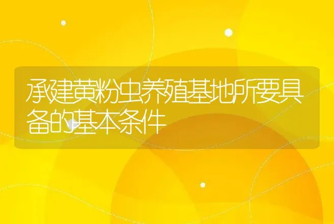 承建黄粉虫养殖基地所要具备的基本条件 | 动物养殖