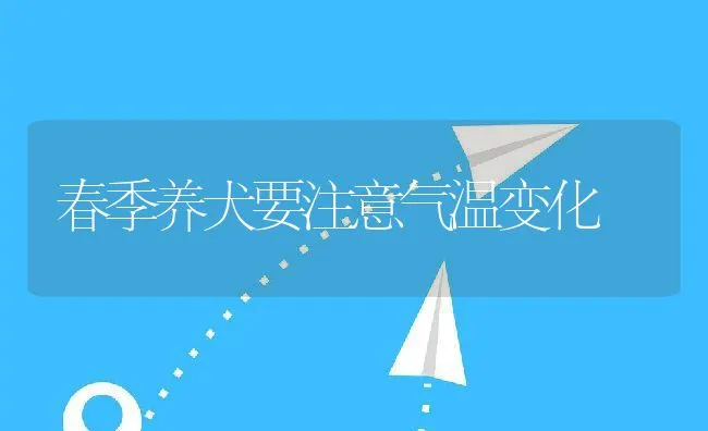 春季养犬要注意气温变化 | 宠物病虫害