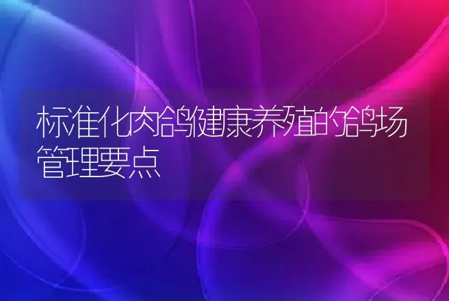 标准化肉鸽健康养殖的鸽场管理要点 | 家禽养殖