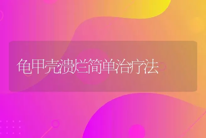 彩色北极狐 | 动物养殖