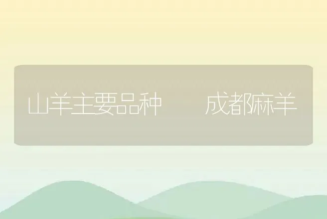 山羊主要品种――成都麻羊 | 动物养殖