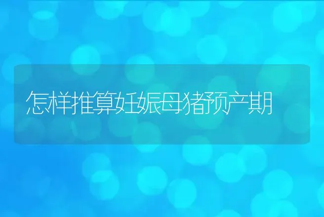 农村蛋鸡养殖场户搞好蛋鸡养殖 | 动物养殖