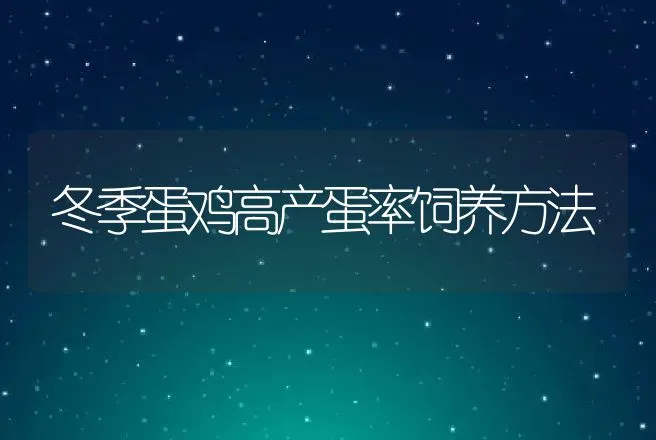 冬季蛋鸡高产蛋率饲养方法 | 动物养殖