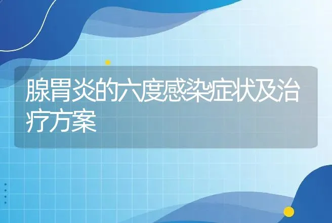 腺胃炎的六度感染症状及治疗方案 | 兽医知识大全