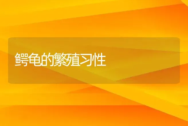 鳄龟的繁殖习性 | 动物养殖