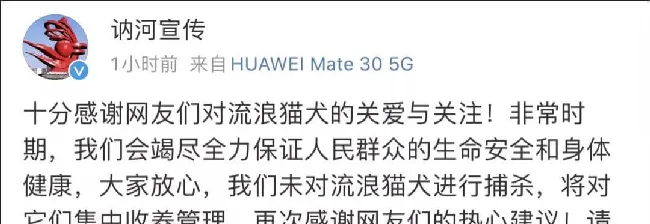 部分地区以新型冠状病毒为由捕杀猫狗？ | 宠物新闻资讯