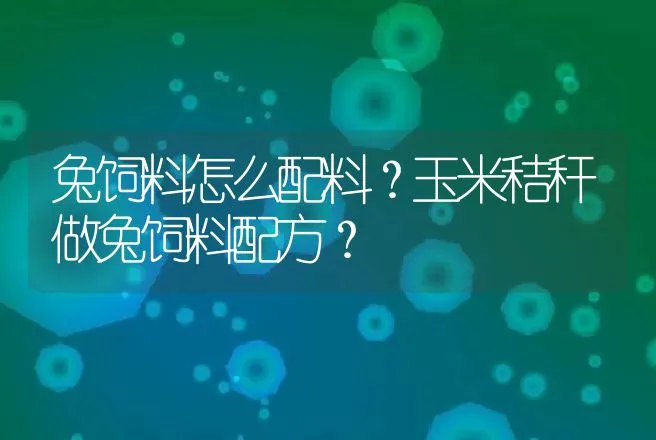 兔饲料怎么配料？玉米秸秆做兔饲料配方？ | 特种养殖