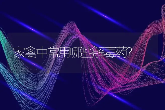 家禽中常用哪些解毒药？ | 兽医知识大全