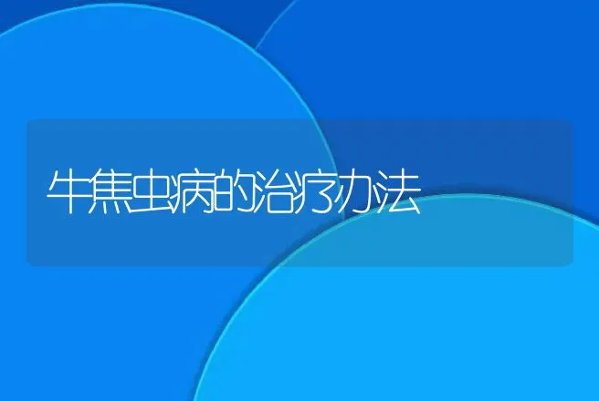 牛焦虫病的治疗办法 | 兽医知识大全