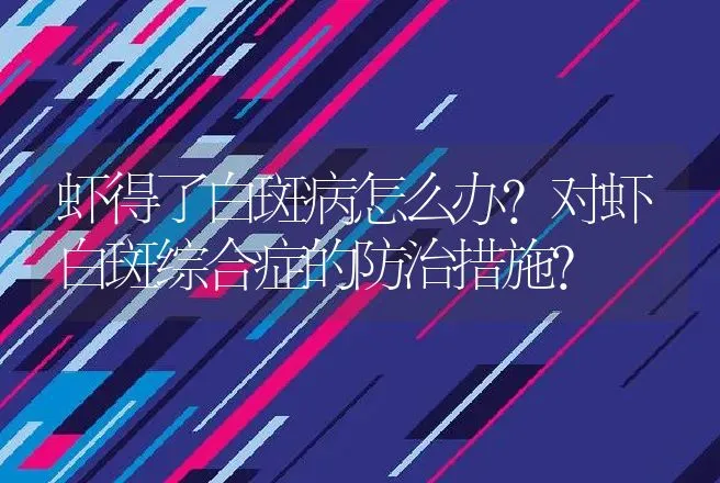 虾得了白斑病怎么办？对虾白斑综合症的防治措施？ | 兽医知识大全