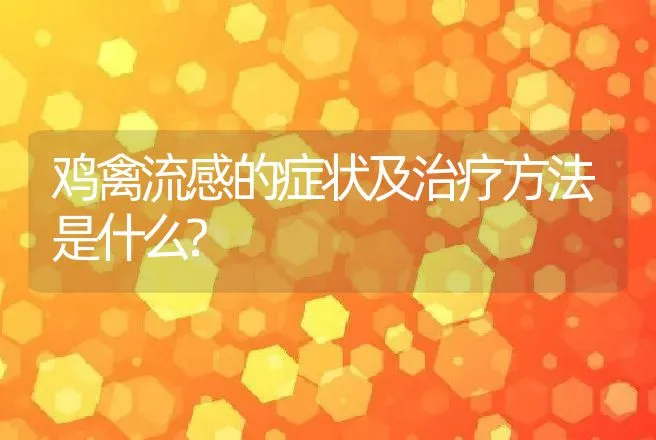 鸡禽流感的症状及治疗方法是什么? | 兽医知识大全