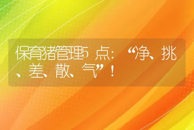 保育猪管理5点：“净、挑、差、散、气”！ | 家畜养殖