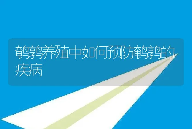 鹌鹑养殖中如何预防鹌鹑的疾病 | 动物养殖