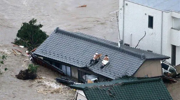 日本连续暴雨房屋被淹 汪星人与主人一起爬到楼顶等支援 | 宠物新闻资讯