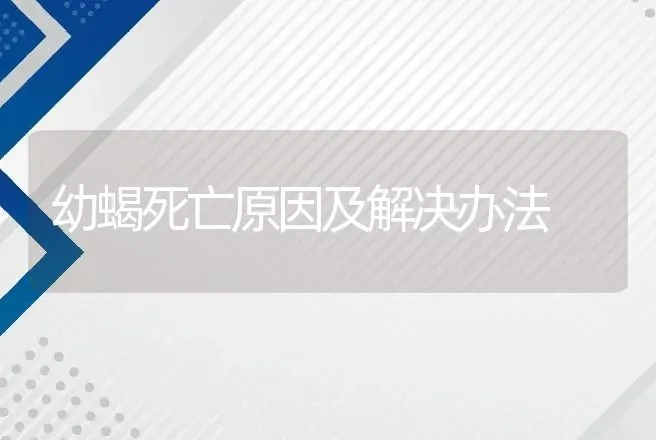 幼蝎死亡原因及解决办法 | 动物养殖