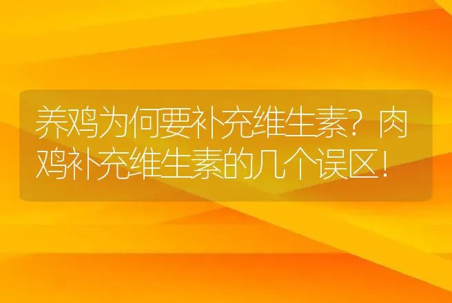 养鸡为何要补充维生素？肉鸡补充维生素的几个误区！ | 家禽养殖