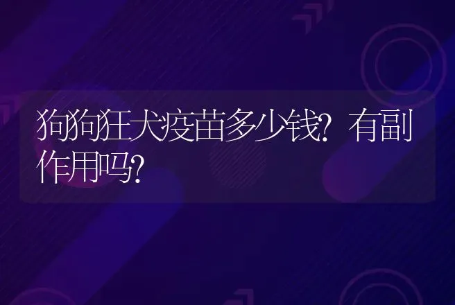 狗狗狂犬疫苗多少钱？有副作用吗？ | 动物养殖