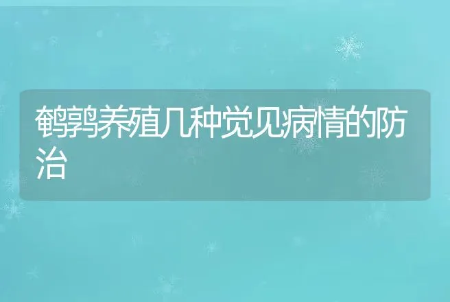 鹌鹑养殖几种觉见病情的防治 | 动物养殖