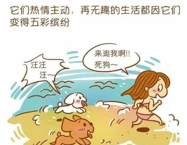 只有养过狗的才会明白，它如此重要！ | 宠物新闻资讯