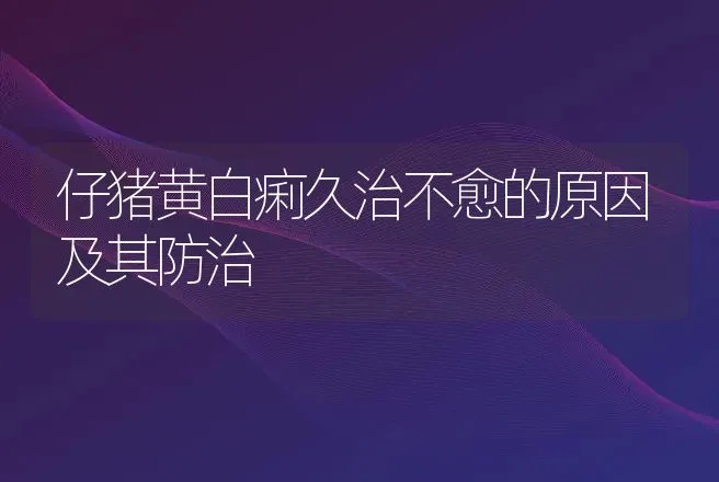 仔猪黄白痢久治不愈的原因及其防治 | 动物养殖