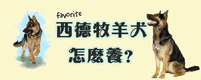 西德牧羊犬怎么养 | 宠物病虫害防治