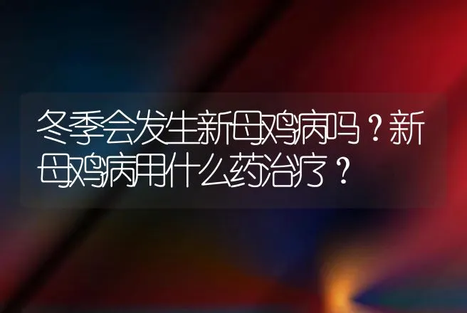 冬季会发生新母鸡病吗？新母鸡病用什么药治疗？ | 兽医知识大全