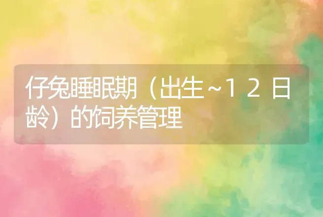 仔兔睡眠期（出生～12日龄）的饲养管理 | 动物养殖