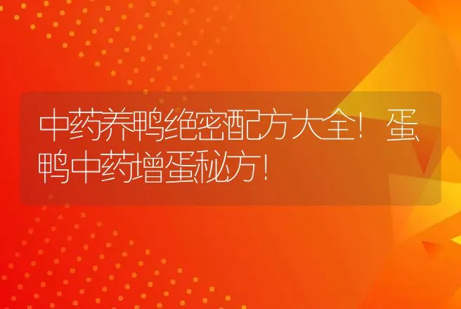 中药养鸭绝密配方大全！蛋鸭中药增蛋秘方！ | 家禽养殖