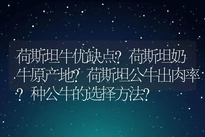 荷斯坦牛优缺点？荷斯坦奶牛原产地？荷斯坦公牛出肉率？种公牛的选择方法？ | 动物养殖