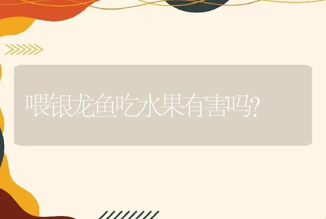 喂银龙鱼吃水果有害吗？ | 动物养殖