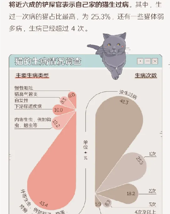 中国人养猫行为调查报告：来看看关于养猫的那些秘闻趣事 | 宠物新闻资讯