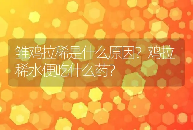 雏鸡拉稀是什么原因？鸡拉稀水便吃什么药？ | 兽医知识大全