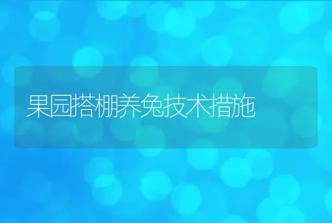 果园搭棚养兔技术措施 | 动物养殖