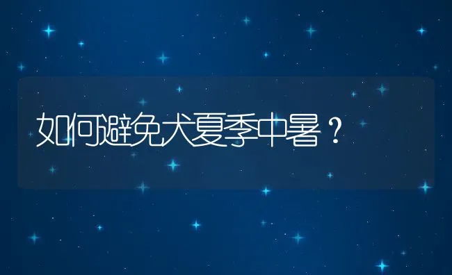 如何避免犬夏季中暑？ | 宠物病虫害