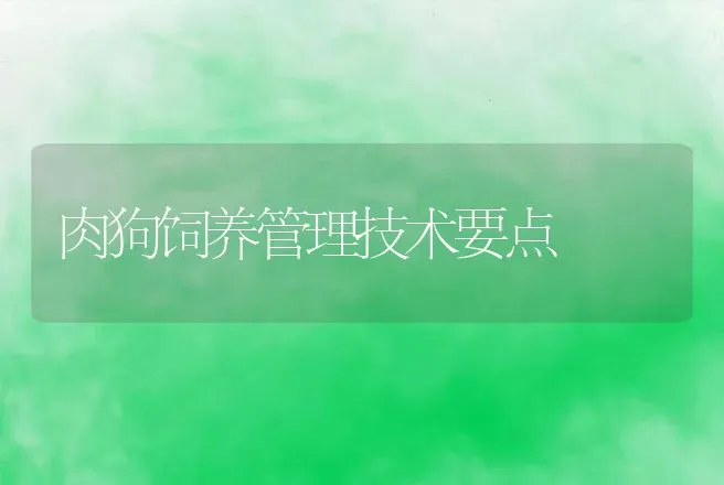 肉狗饲养管理技术要点 | 动物养殖