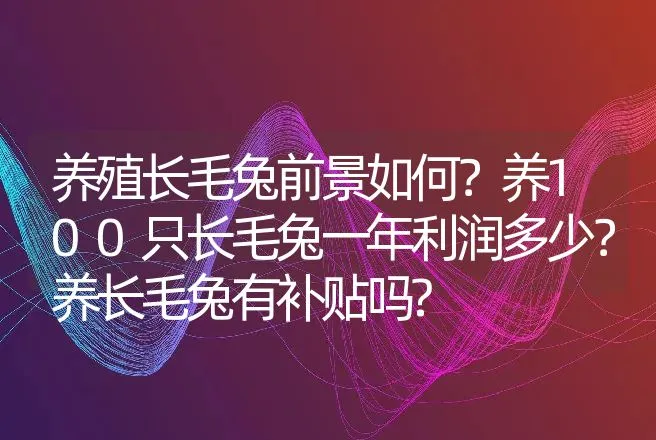 养殖长毛兔前景如何？养100只长毛兔一年利润多少？养长毛兔有补贴吗? | 养殖致富