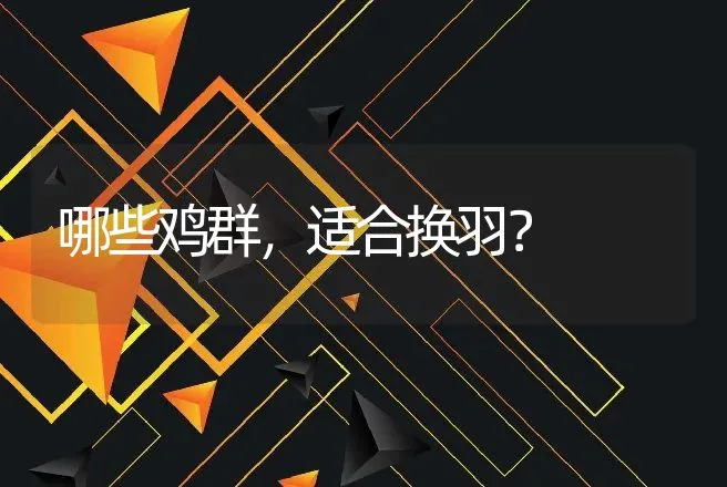 哪些鸡群，适合换羽？ | 家禽养殖