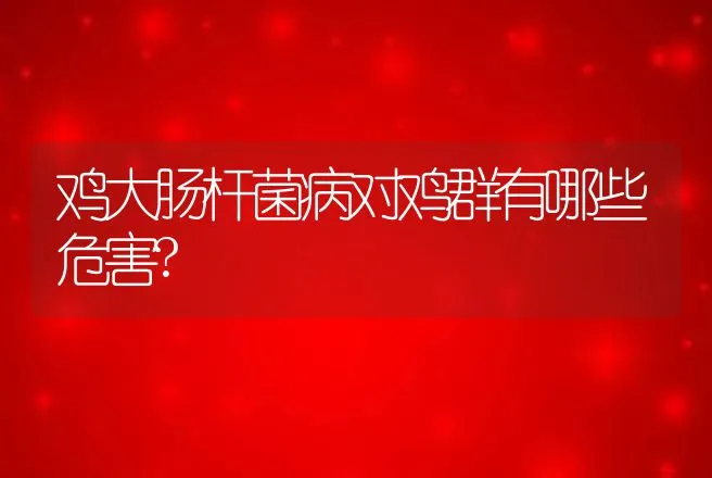 鸡大肠杆菌病对鸡群有哪些危害? | 兽医知识大全