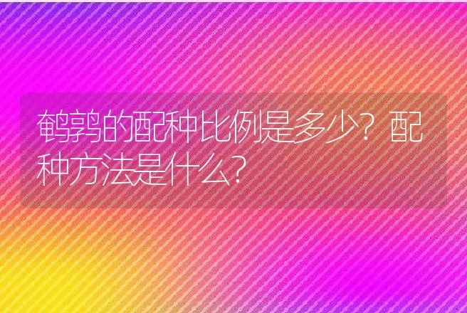 鹌鹑的配种比例是多少？配种方法是什么？ | 动物养殖