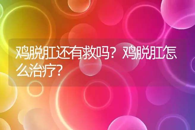 鸡脱肛还有救吗？鸡脱肛怎么治疗？ | 兽医知识大全