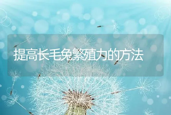 南美白对虾虾苗的选择 | 动物养殖