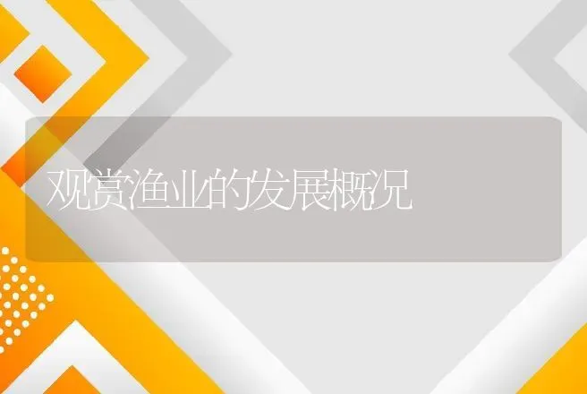 观赏渔业的发展概况 | 动物养殖