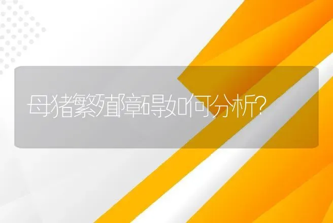 母猪繁殖障碍如何分析？ | 兽医知识大全