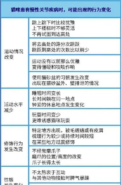 猫咪这种沙雕行为或是生病！80%猫都会经历，做好两件事预防 | 宠物训练技巧