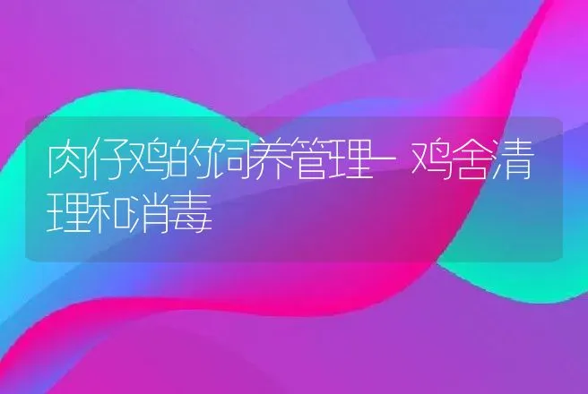 肉仔鸡的饲养管理-鸡舍清理和消毒 | 动物养殖