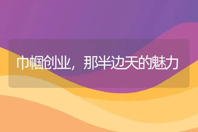 巾帼创业，那半边天的魅力 | 养殖致富