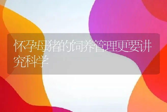 怀孕母猪的饲养管理更要讲究科学 | 动物养殖